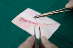 针线程针与钳和夹的缝合狗手术伤口与绿色围裙小外科手术切口的狗