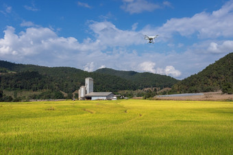 农业无人机飞天空以上的小麦场工业农业和聪明的农业和农场结构背景聪明的农业