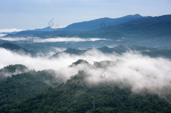 美丽的雾在绿色森林山空中视图日出在的山范围的北泰国美热带雨林景观与雾早....美丽的雾在绿色森林山