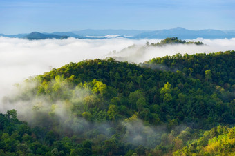 美丽的雾在绿色森林山空中视图日出在的山范围的北泰国美热带雨林景观与雾早....美丽的雾在绿色森林山