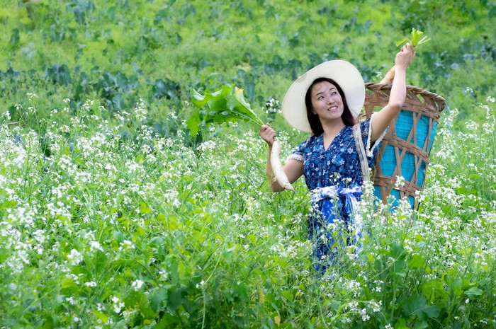 年轻的农民幸福的挑选有机萝卜新鲜的花园有机农业挑选有机萝卜