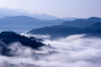 美丽的早....<strong>雾</strong>的谷北部泰国美在香港儿子禁止美丽的<strong>雾</strong>与温暖的<strong>光</strong>在<strong>山</strong>