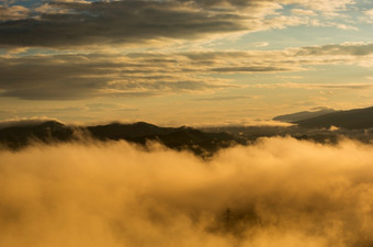 空中视图美丽的早....风景金光日出和的雾流高山想知道雾雾森林