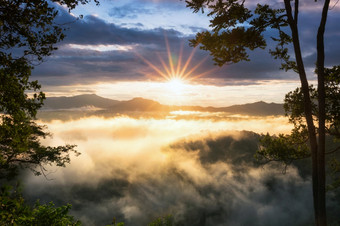 空中视图美丽的早....风景金光日出和的雾流高山想知道雾早....风景