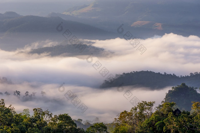 美丽的早....雾的谷北部泰国美在香港儿子禁止美丽的雾与温暖的光在山