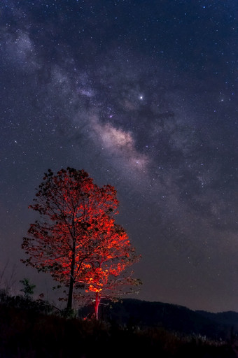 乳白色的道路星系与星星和空间灰尘的宇宙在红色的树长速度曝光乳白色的道路