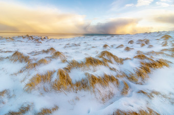 美丽的金草山覆盖与雪视图风景优美的罗弗敦群岛岛屿群岛冬天风景美丽的山景观冬天挪威斯堪的那维亚冬天挪威