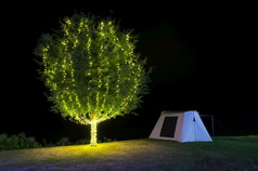 美丽的树装饰灯旁边帐篷野营晚上在那里是美丽的星星的天空chaloemphrakiat公园Thung没听见舌墨西哥向日葵场美卫生部lampang泰国晚上chaloemphrakiat公园美卫生部