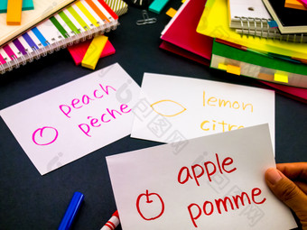 学习新语言使原始闪光卡片法国