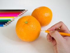 看起来就像画橙子与的彩色的铅笔