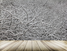 背景的冬天森林树雪语语音和纹理分支机构的冬天森林