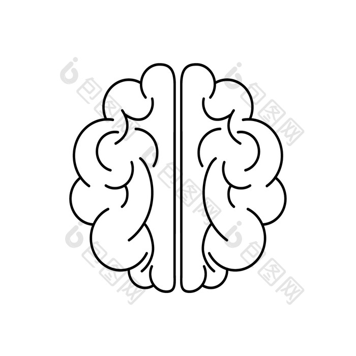 人类大脑白色向量大纲插图人类大脑白色背景