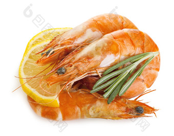 老虎虾与柠檬片和迷迭香虾与柠檬片和迷迭香孤立的白色背景海鲜