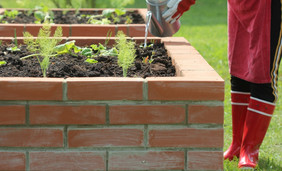 女人园丁浇水植物提高了床蔬菜园艺