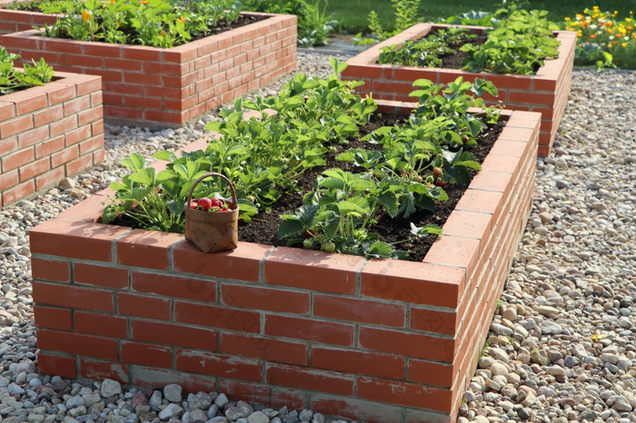 现代蔬菜花园与提高了布里克斯床提高了床园艺城市花园篮子完整的草莓现代蔬菜花园与提高了布里克斯床提高了床园艺城市花园篮子完整的草莓