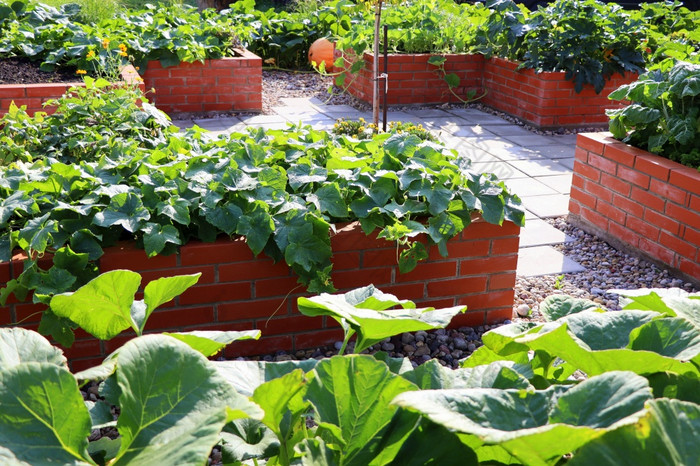 现代蔬菜花园与提高了布里克斯床提高了床园艺城市花园现代蔬菜花园与提高了布里克斯床提高了床园艺城市花园
