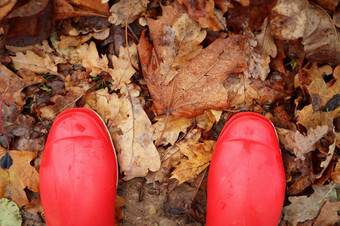 秋天季节概念图像惠灵顿靴子站在棕色（的）叶子秋天季节概念图像惠灵顿靴子站在棕色（的）叶子