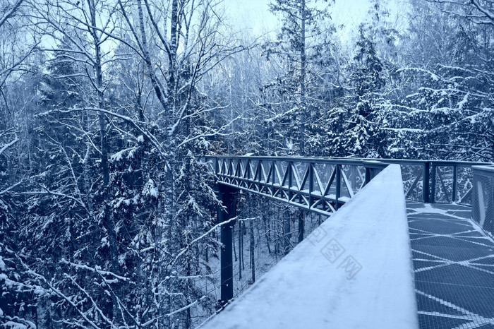 金属人行桥在的流冬天雪森林美丽的冬天金属人行桥在的流冬天雪森林美丽的冬天景观