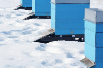 冬天国家场景与蜂房覆盖与雪冬天国家场景与蜂房覆盖与雪
