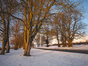 当地时间路通过树冬天北约克郡东北英格兰