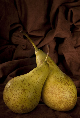 两个梨可食用的水果那通常狭窄的的茎而且更广泛的向的提示与甜蜜的略<strong>坚韧不拔</strong>的肉的梨的水果树属梨