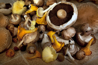 选择可食用的蘑菇包括Portabello香竹野生蘑菇灰色牡蛎黄色的牡蛎埃林吉而且黑色的杨树