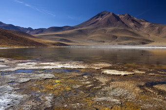 拉古纳杂项而且的Miniques火山高的altiplano的安第斯山脉山的阿塔卡马沙漠北部智利