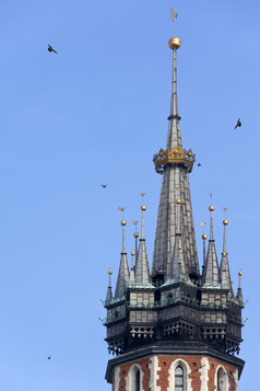 的细中世纪的哥特贝尔塔的尖塔的教堂玛丽的市场广场的rsquo老小镇rsquo克拉科夫波兰也已知的的教堂的假设的维珍