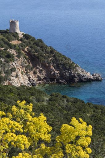 的西北海岸撒丁岛视图从的岬投诉 警察 课狩猎萨萨里省意大利海岸线撒丁岛意大利