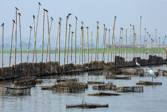 钓鱼大坝和鱼陷阱Taungthaman湖附近骨桥amarapura附近曼德勒缅甸缅甸