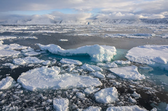 海冰的<strong>北大</strong>西洋海洋从的东北海岸格陵兰岛