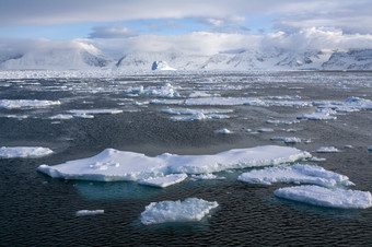 海冰的<strong>北大</strong>西洋海洋从的东北海岸格陵兰岛