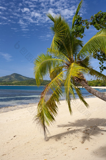 热带海滩一个的岛屿的八泽岛屿斐济南太平洋
