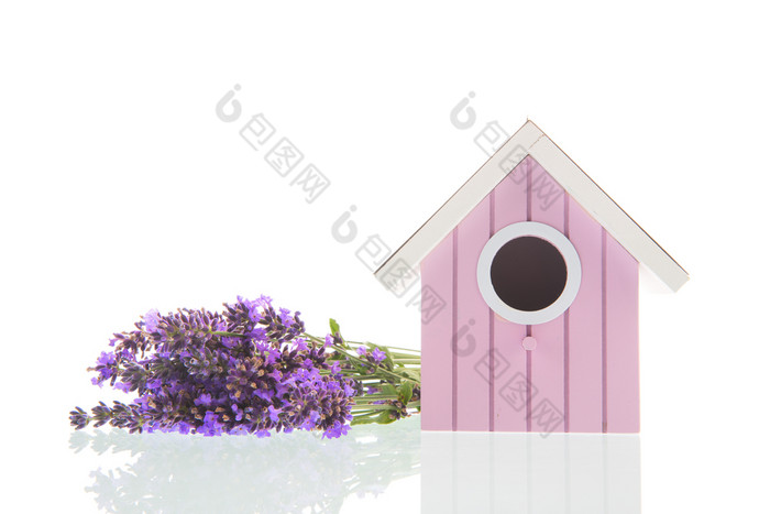 花束紫色的薰衣草与粉红色的鸟房子孤立的在白色背景