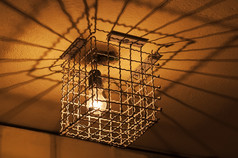 光灯泡被困笼子里防盗保护