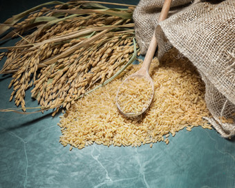 棕色（的）大米未煮过的袋与桩棕色（的）大米与在完整的一匙的量大米和斯派克大米表格背景