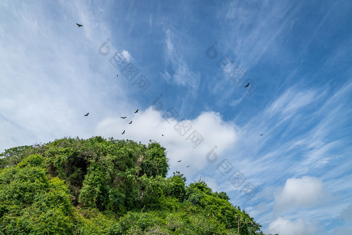 这些海天国家公园绰号的加勒比rsquo向湾首页红树林洞穴丰富的热带森林五彩缤纷的热带鸟和海牛的海岸虚线与小小岛在哪里护卫舰和鹈鹕巢南的萨马纳半岛多米尼加共和国