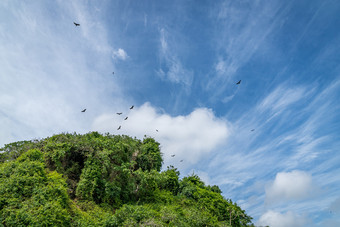 这些海天国家公园绰号的加勒比rsquo向湾首页红树林洞穴丰富的热带森林五彩缤纷的热带鸟和海牛的海岸虚线与小小岛在哪里护卫舰和鹈鹕巢南的萨马纳半岛多米尼加共和国