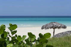 美妙的白色桑迪海滩热带植物木阳伞和加勒比海巴拉德罗阳光明媚的一天古巴