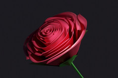 图像红色的玫瑰黑色的背景概念情人节rsquo一天