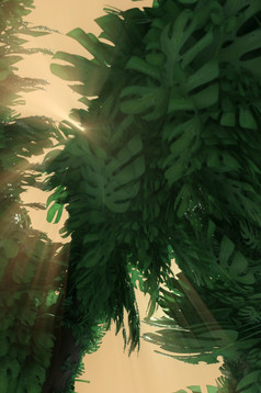 插图插图热带叶子自然和太阳光背景