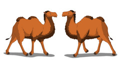 数字绘画的大夏的骆驼