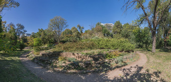 老被遗弃的花圃植物花园敖德萨乌克兰阳光明媚的秋天一天老被遗弃的花圃