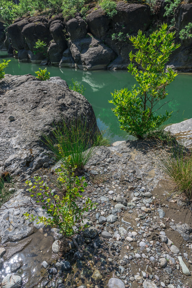 岩石和石头的峡谷的venetikos河希腊悬崖的venetikos河希腊