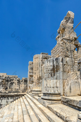 破碎的列的寺庙阿波罗迪迪马火鸡阳光明媚的夏天一天破碎的列的寺庙阿波罗迪迪马火鸡