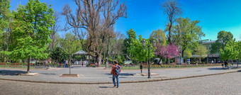敖德萨乌克兰城市花园敖德萨在的战争乌克兰阳光明媚的春天一天城市花园敖德萨在的战争乌克兰