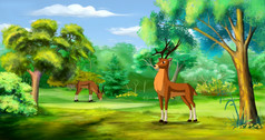 鹿森林阳光明媚的夏天一天数字绘画背景插图鹿森林快乐插图