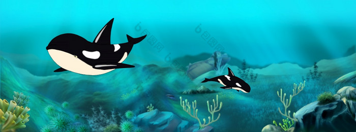杀手鲸鱼水下数字绘画背景插图鲸鱼水下插图