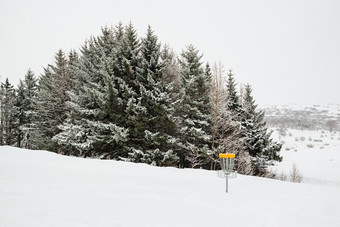 <strong>树下</strong>的雪和磁盘高尔夫球冬天一天Gardabaer冰岛<strong>树下</strong>的雪和磁盘高尔夫球冰岛