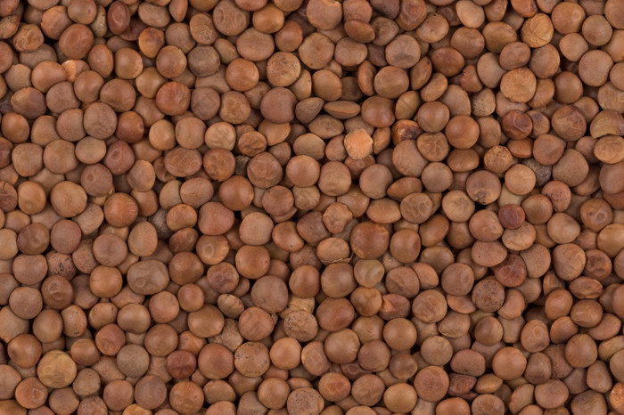 图片棕色（的）小扁豆在平表面为背景